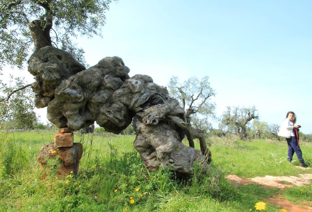 Masseria Brancati Ξενοδοχείο Ostuni Εξωτερικό φωτογραφία