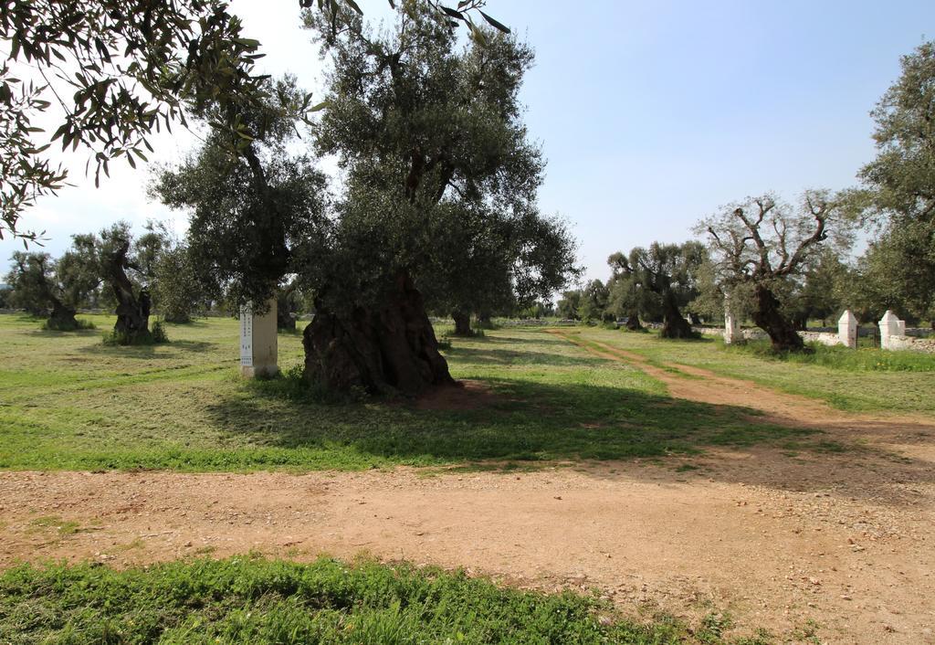 Masseria Brancati Ξενοδοχείο Ostuni Εξωτερικό φωτογραφία
