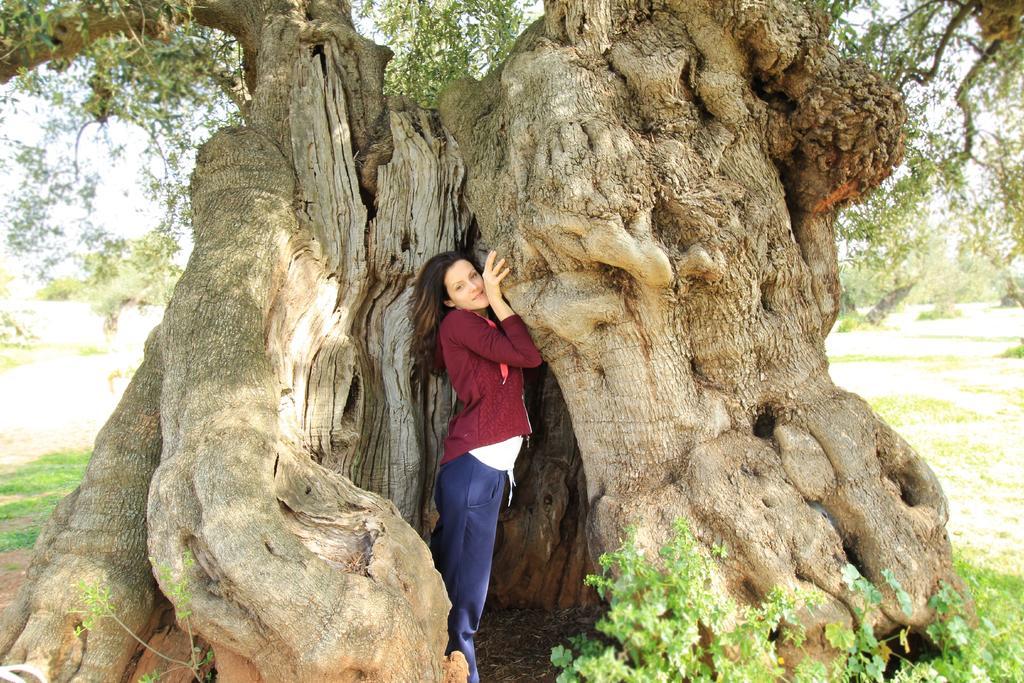 Masseria Brancati Ξενοδοχείο Ostuni Εξωτερικό φωτογραφία